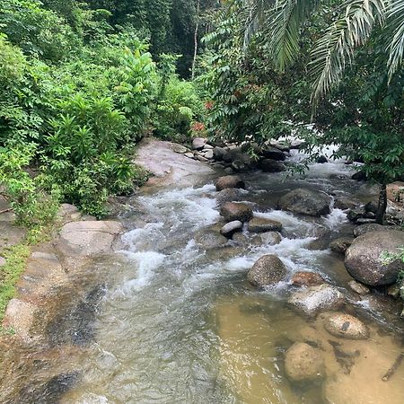 Chalet Latip D'Ayer Itam Hotel Kampong Ayer Hitam  Екстериор снимка