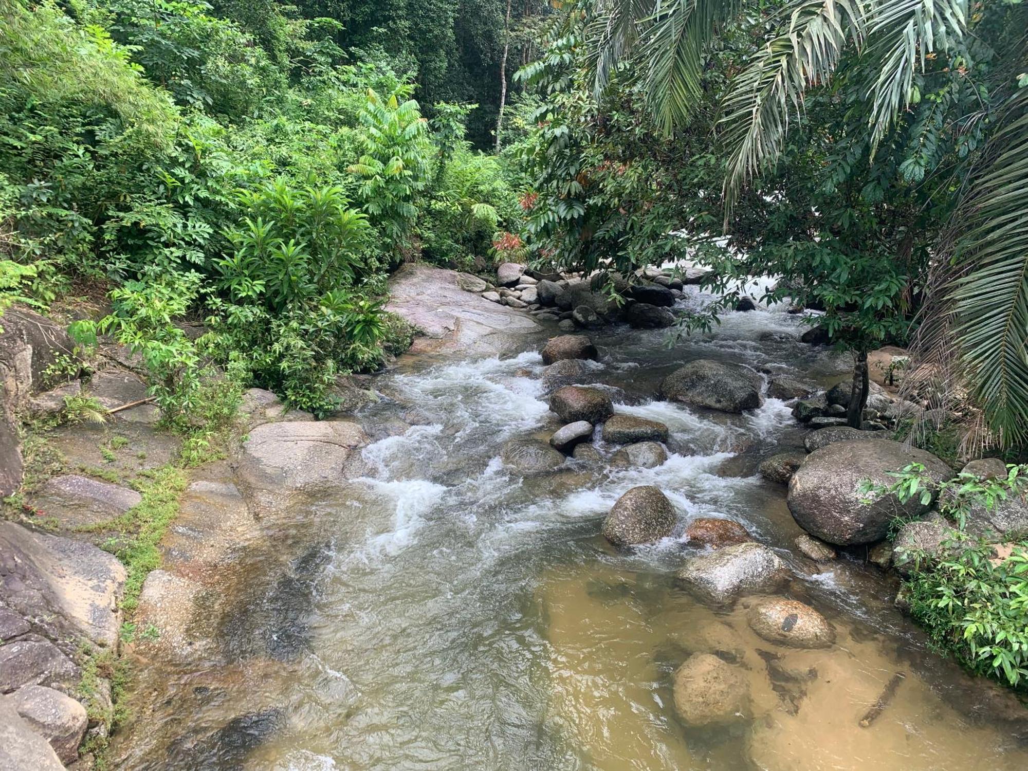 Chalet Latip D'Ayer Itam Hotel Kampong Ayer Hitam  Екстериор снимка